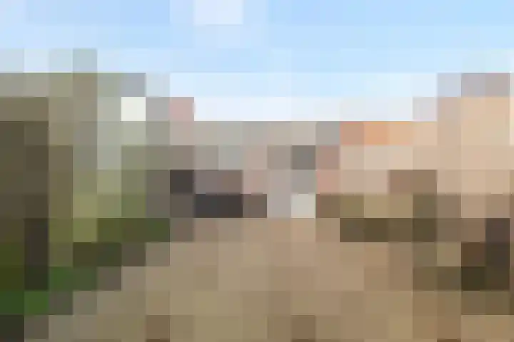Begoniastraat 66 Den Helder thumbnail 27