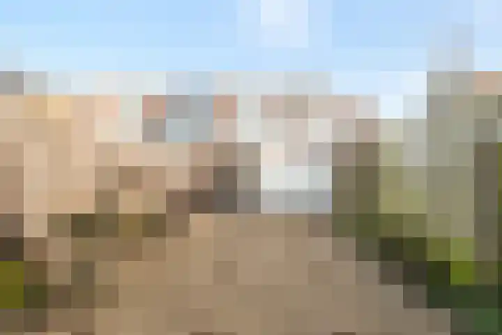 Begoniastraat 66 Den Helder thumbnail 28