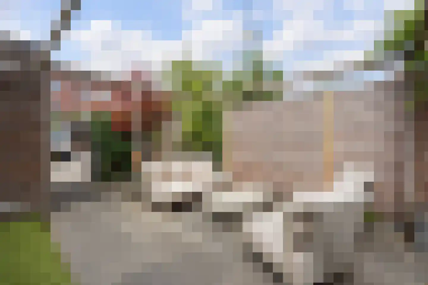 Begoniastraat 67 Den Haag thumbnail 11