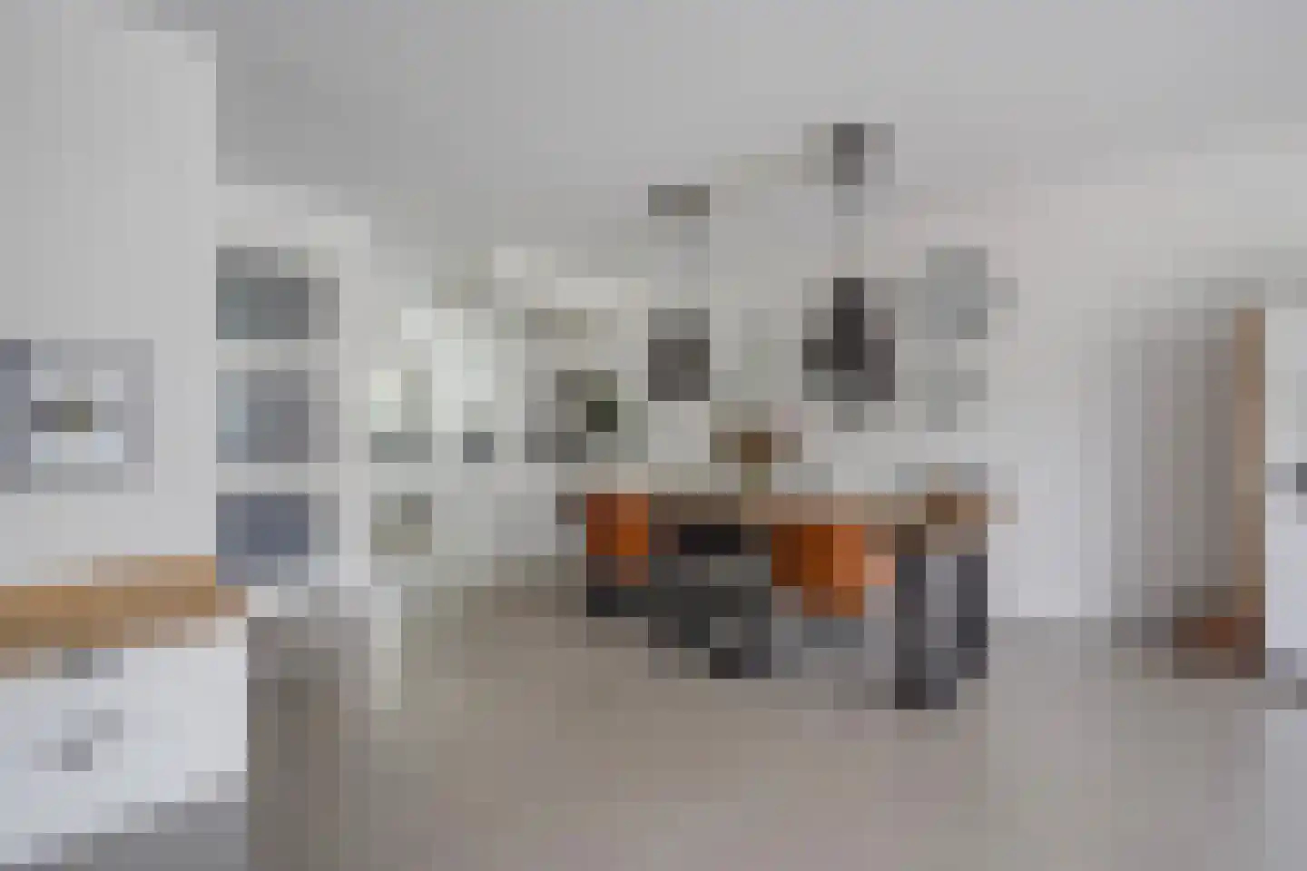 Begoniastraat 67 Den Haag thumbnail 16
