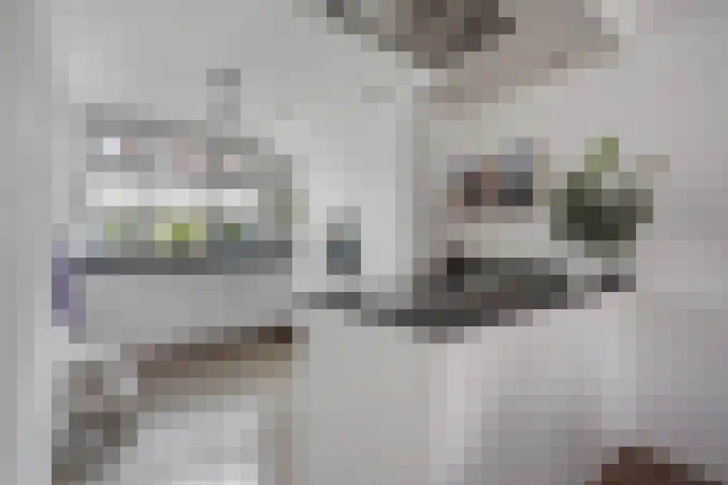 Begoniastraat 67 Den Haag thumbnail 17