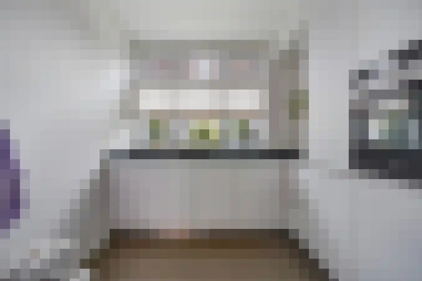 Begoniastraat 67 Den Haag thumbnail 18