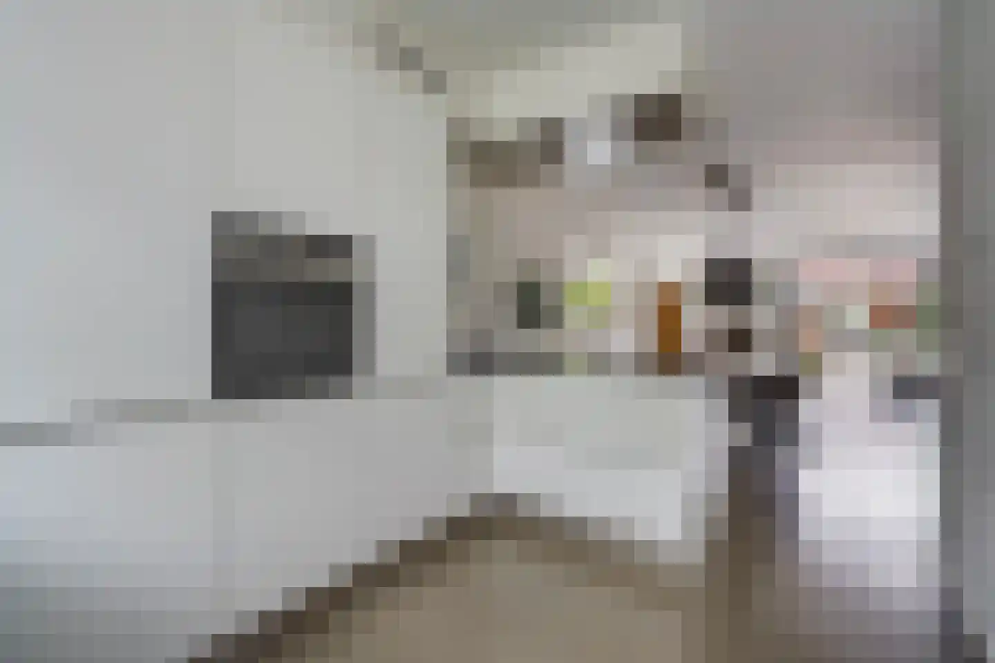 Begoniastraat 67 Den Haag thumbnail 19