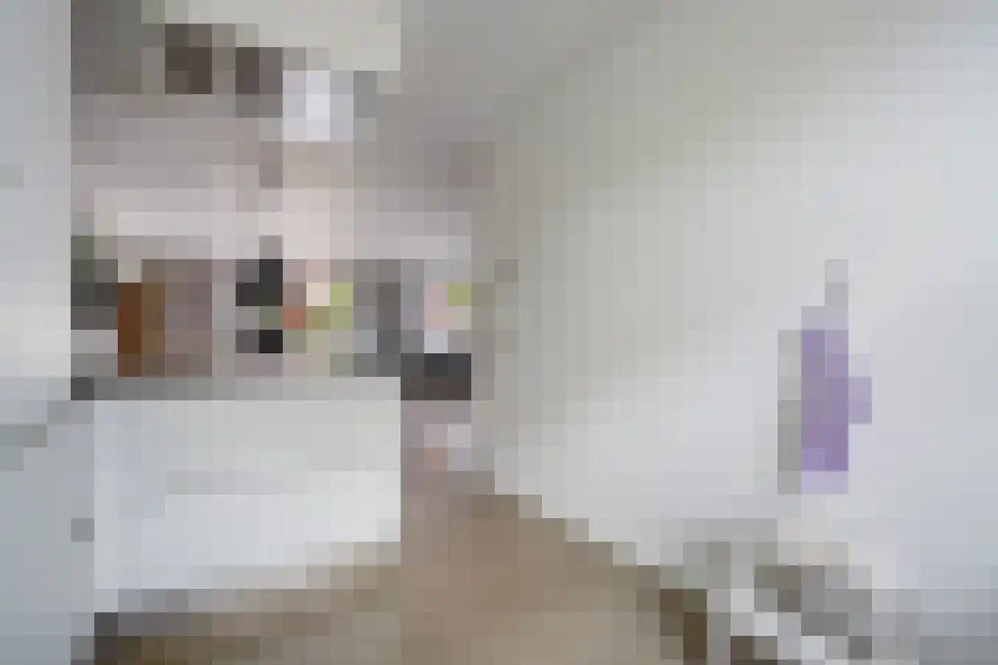 Begoniastraat 67 Den Haag thumbnail 20
