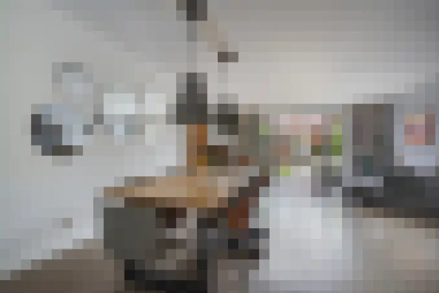 Begoniastraat 67 Den Haag thumbnail 21