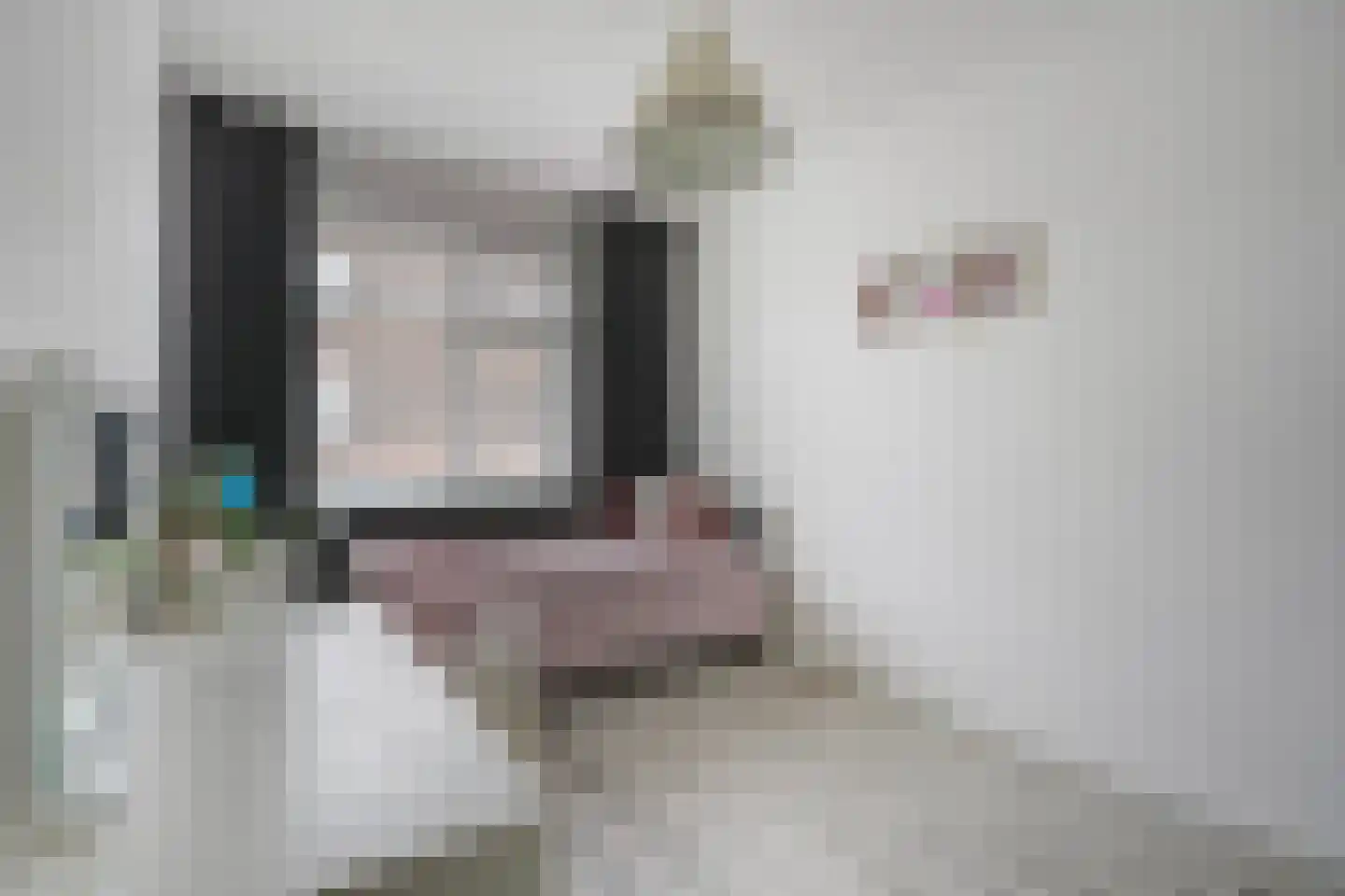 Begoniastraat 67 Den Haag thumbnail 29