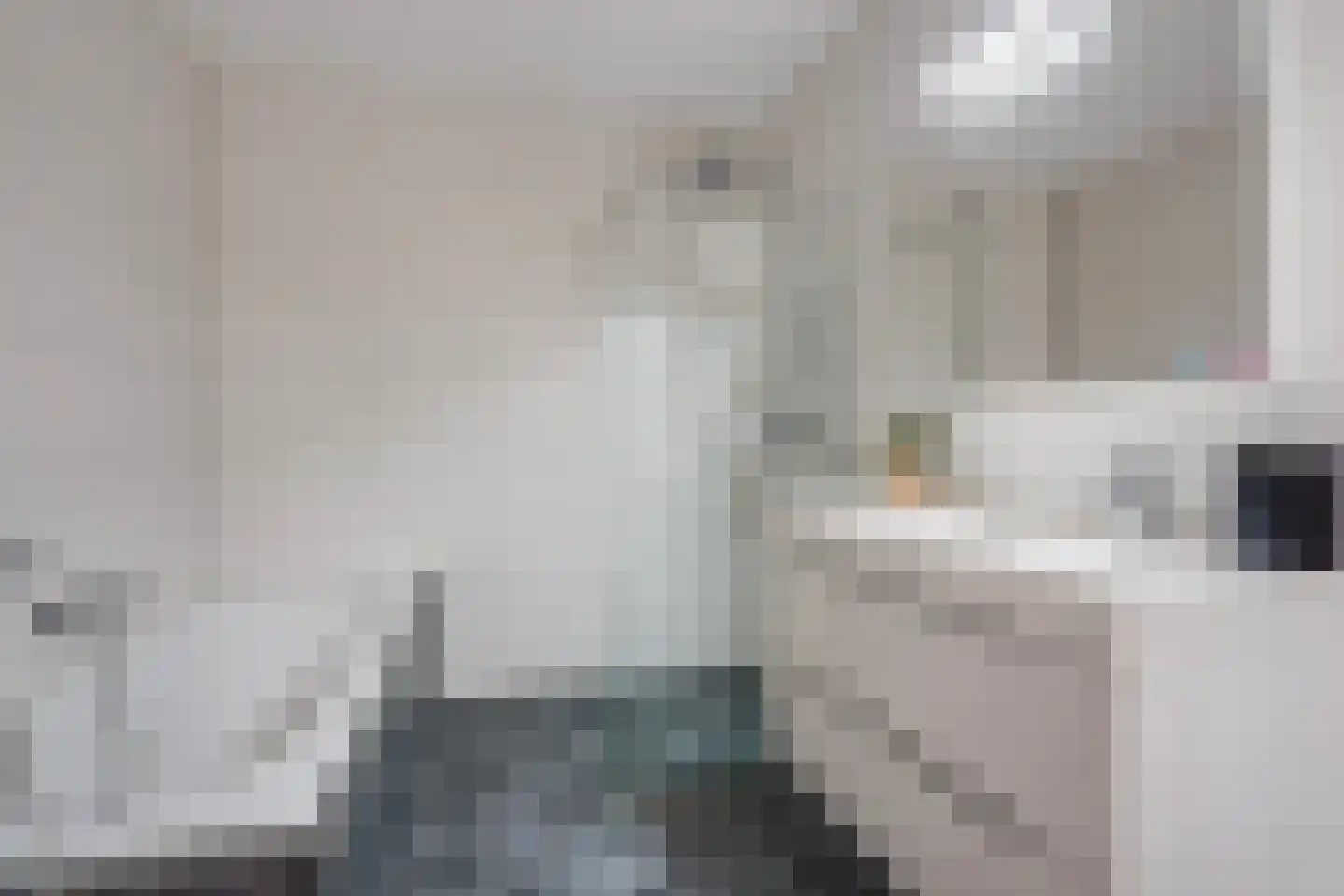 Begoniastraat 67 Den Haag thumbnail 35