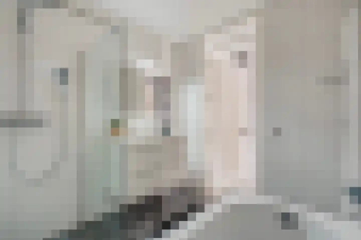 Begoniastraat 67 Den Haag thumbnail 37