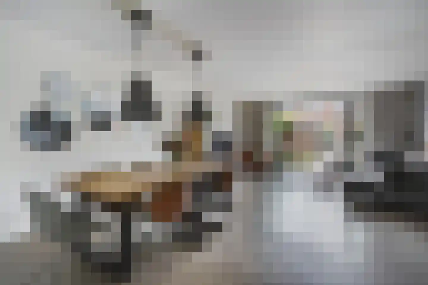 Begoniastraat 67 Den Haag thumbnail 7