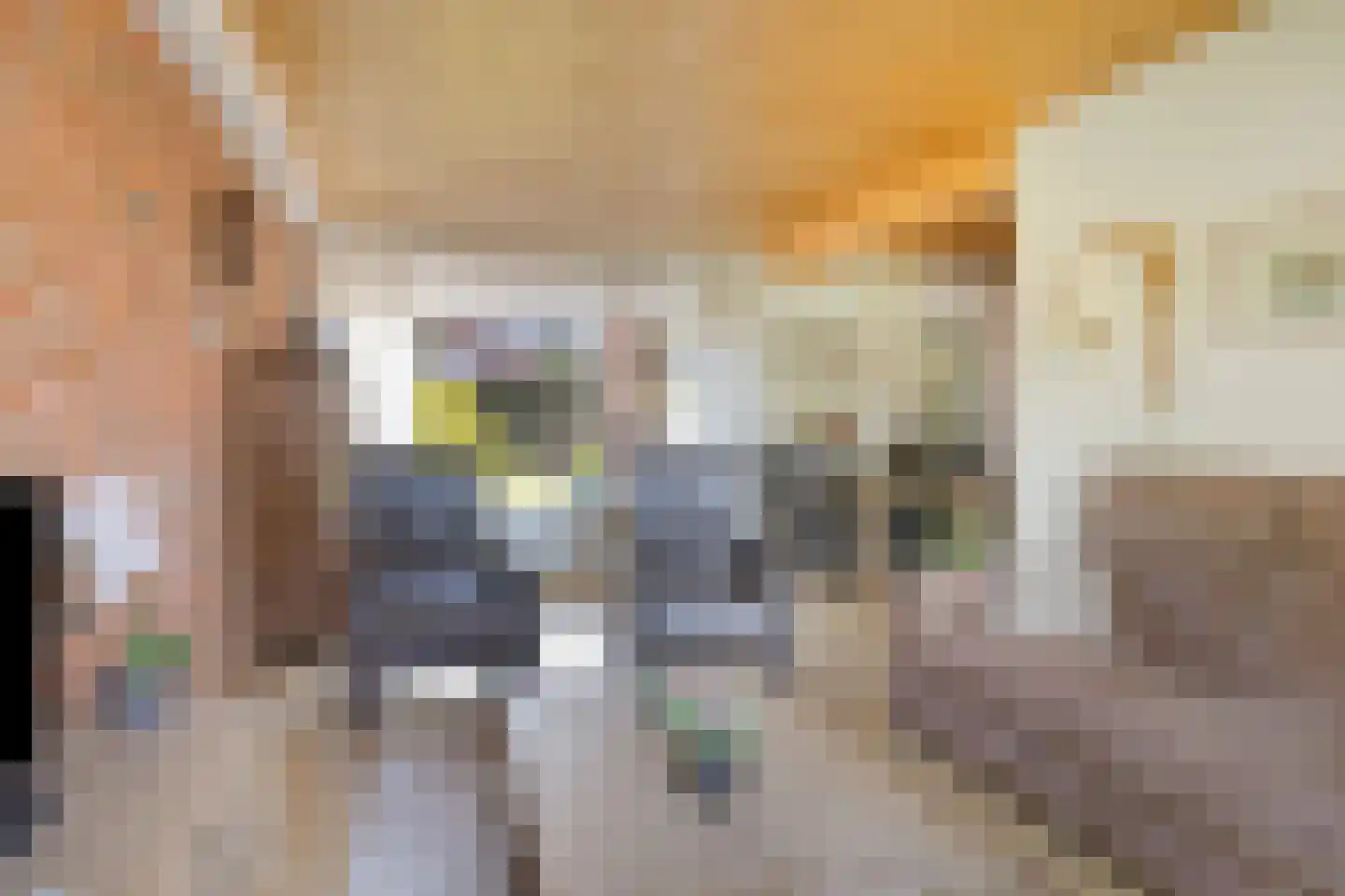 Begoniastraat 7 Assen thumbnail 11
