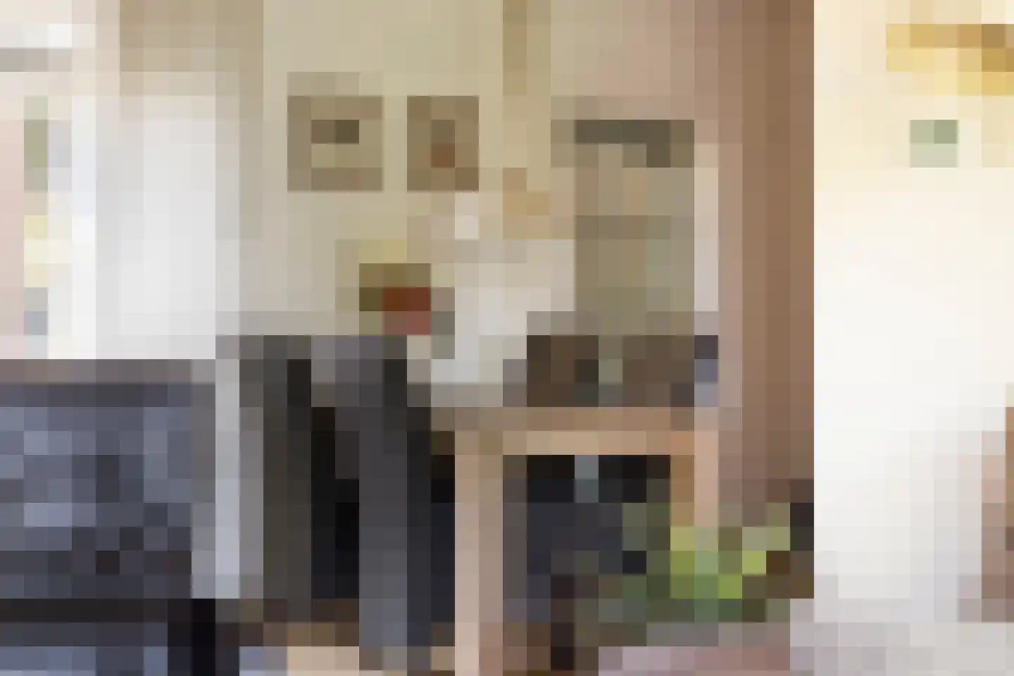 Begoniastraat 7 Assen thumbnail 14