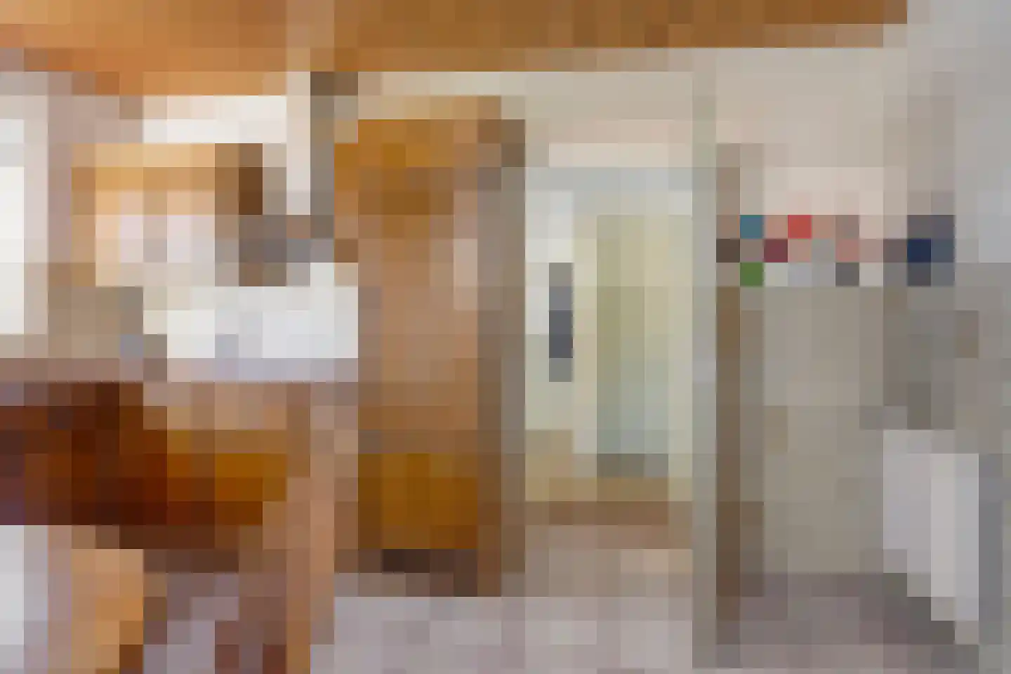 Begoniastraat 7 Assen thumbnail 18