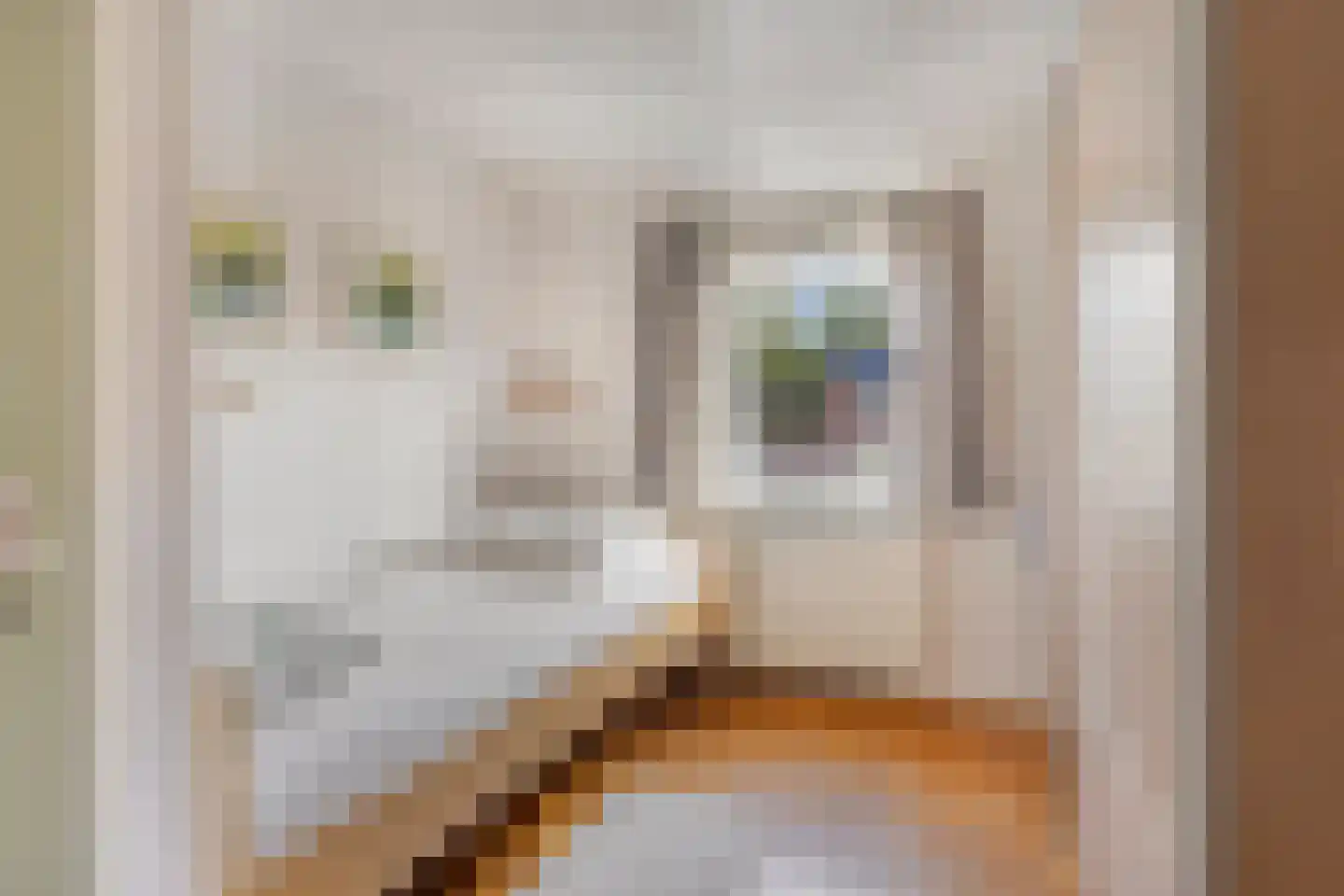 Begoniastraat 7 Assen thumbnail 31