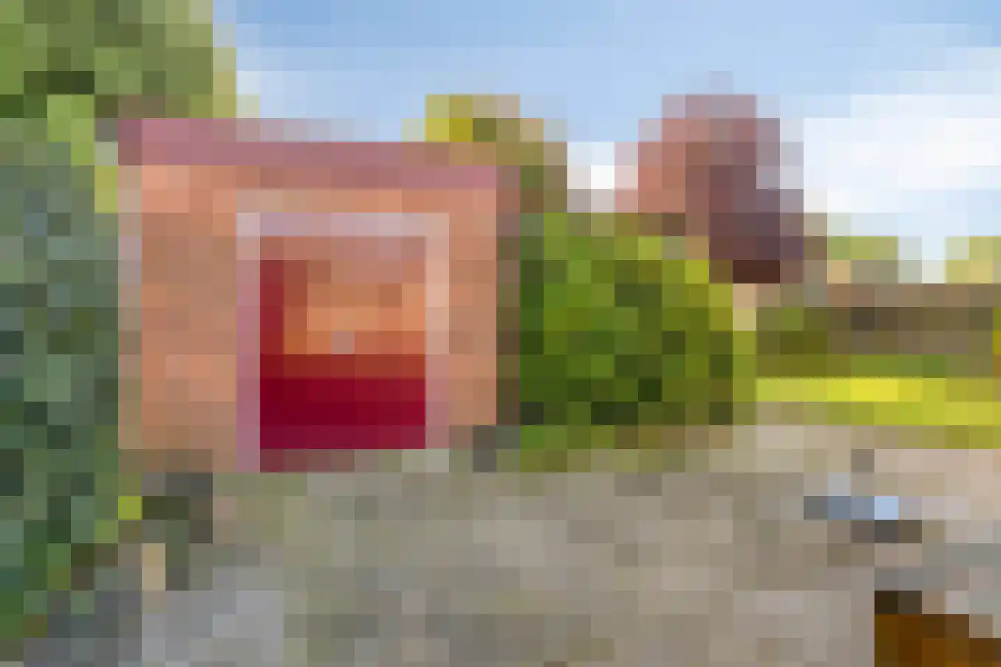 Begoniastraat 7 Assen thumbnail 43