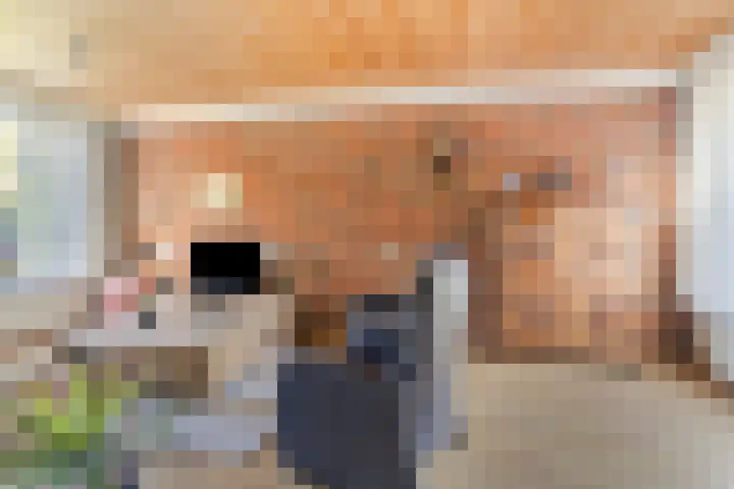 Begoniastraat 7 Assen thumbnail 7