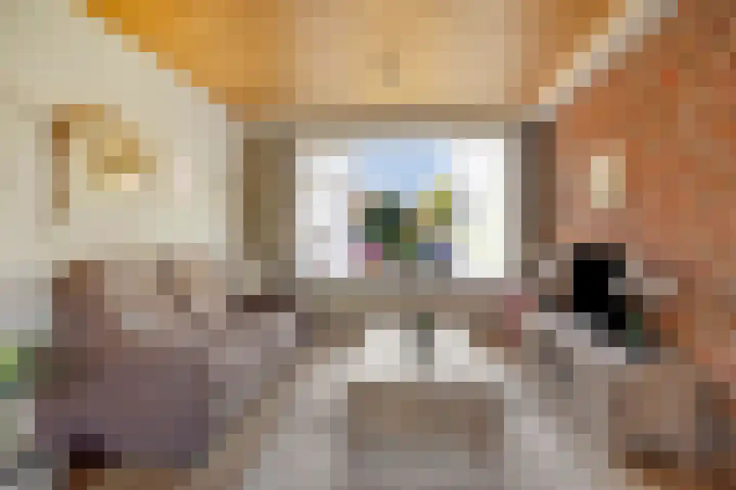 Begoniastraat 7 Assen thumbnail 8