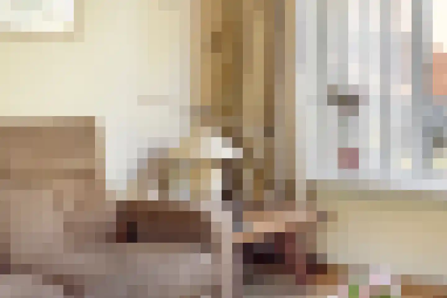 Begoniastraat 7 Assen thumbnail 9