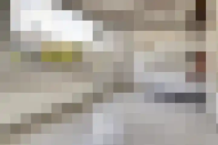 Begoniastraat 7 Drunen thumbnail 10