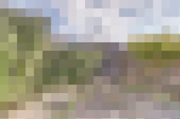 Begoniastraat 7 Drunen thumbnail 30