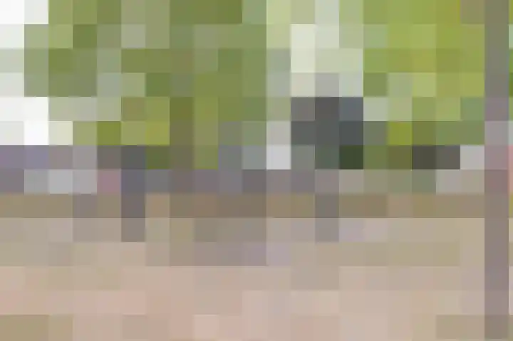 Begoniastraat 7 Drunen thumbnail 40