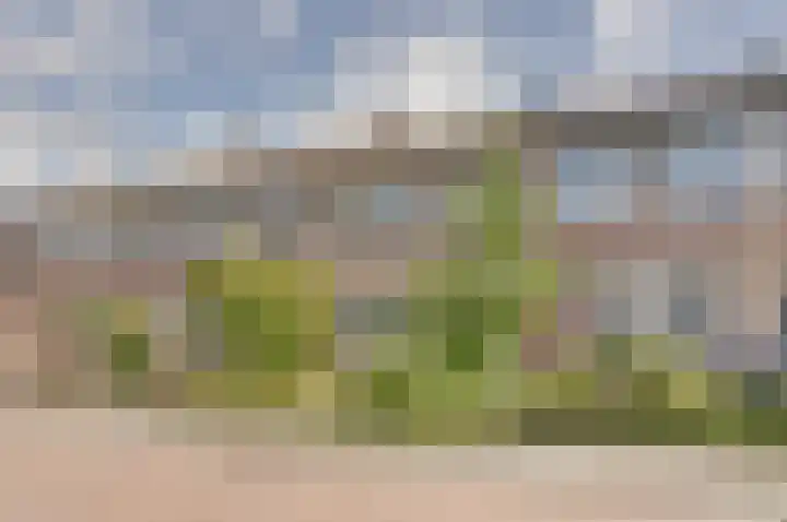 Begoniastraat 7 Drunen thumbnail 47