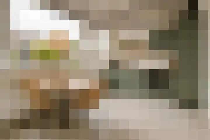 Begoniastraat 7 Drunen thumbnail 7