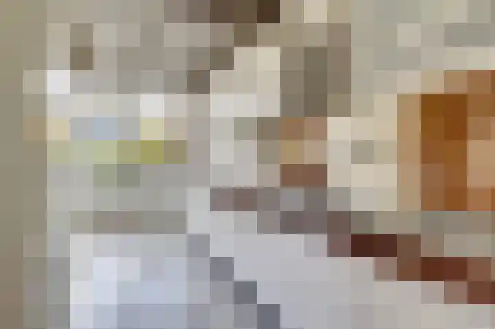Begoniastraat 7 Drunen thumbnail 8