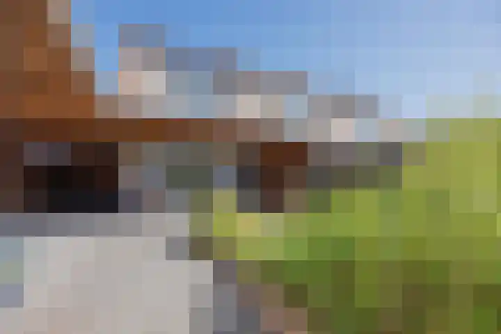 Begoniastraat 7 Grubbenvorst thumbnail 31