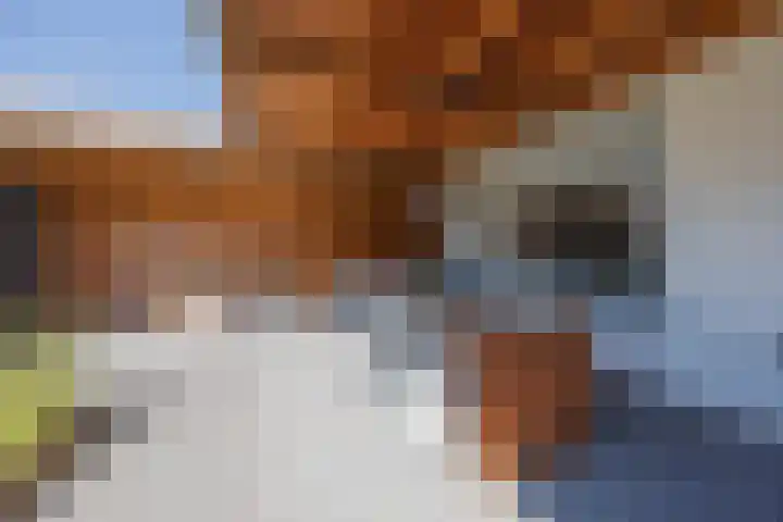 Begoniastraat 7 Grubbenvorst thumbnail 33