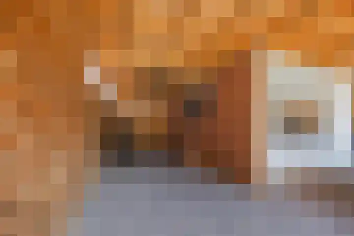 Begoniastraat 7 Grubbenvorst thumbnail 35