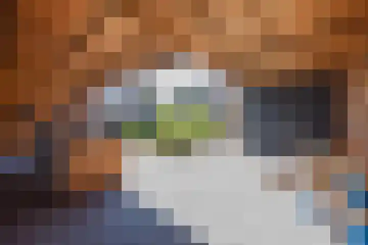 Begoniastraat 7 Grubbenvorst thumbnail 36