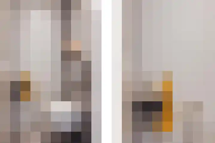 Begoniastraat 7 Grubbenvorst thumbnail 9