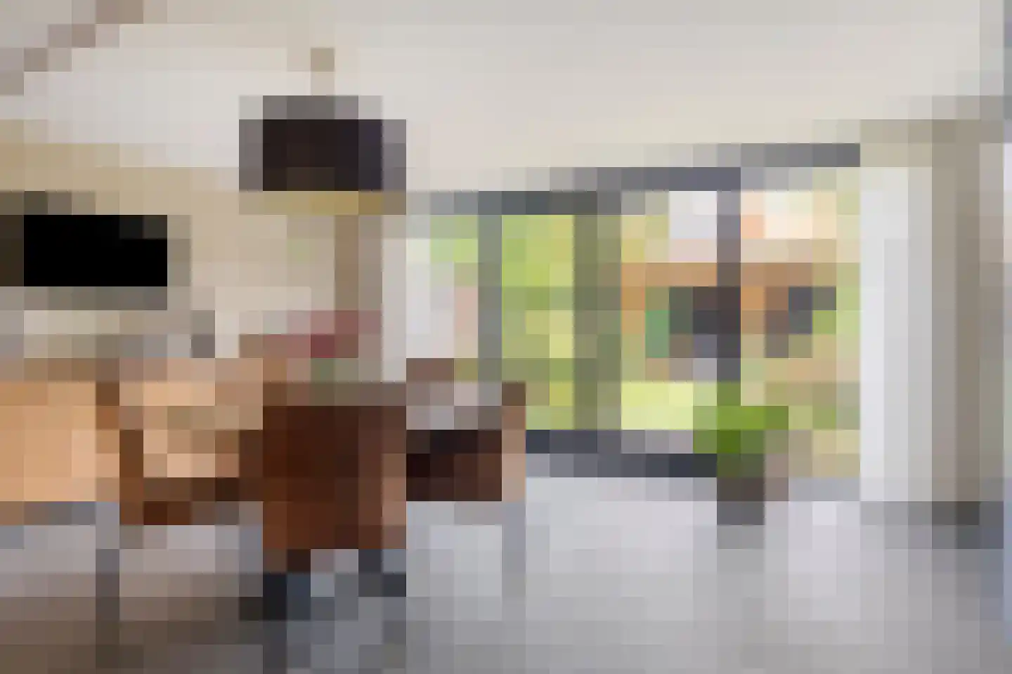 Begoniastraat 7 Hengelo thumbnail 26