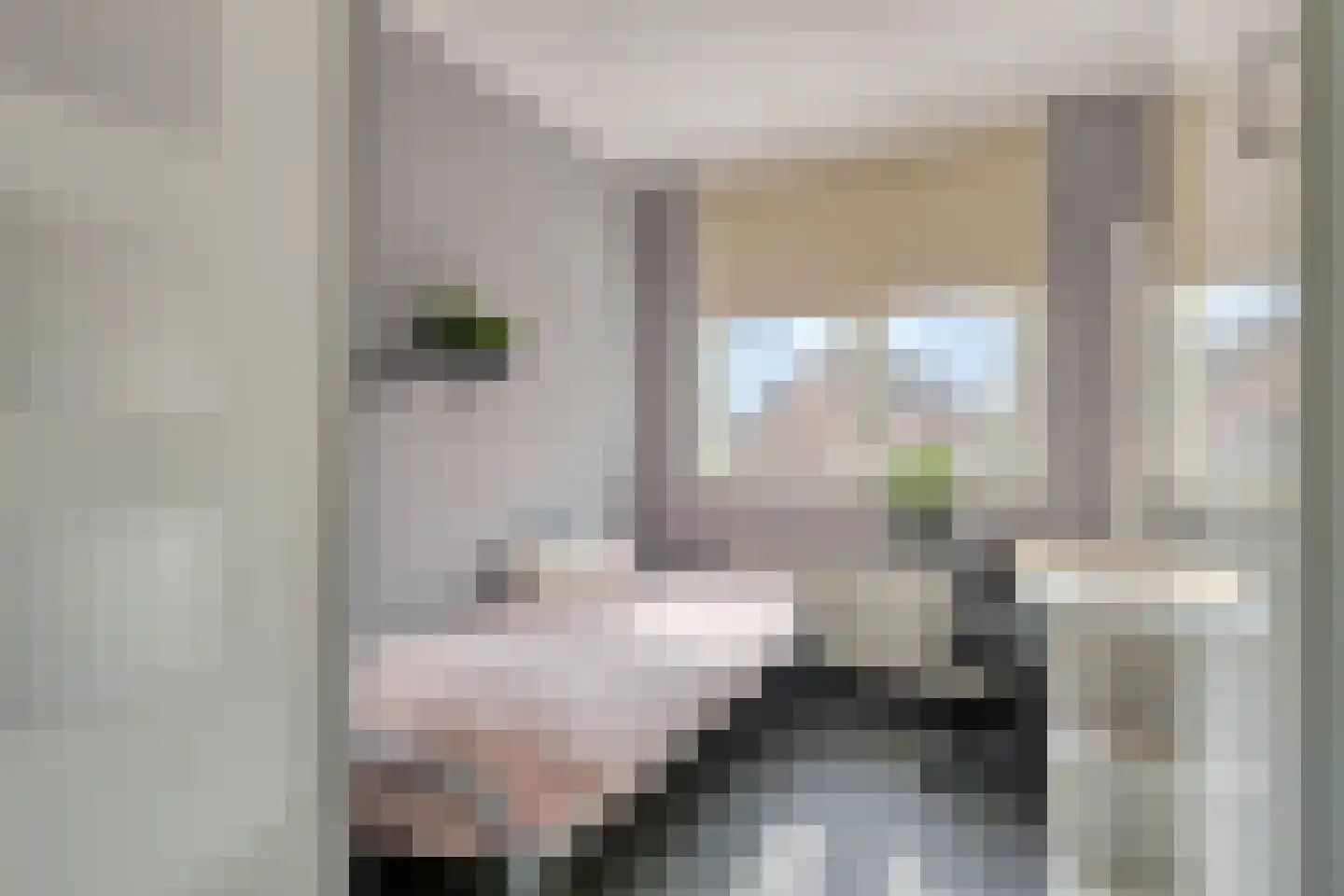 Begoniastraat 7 Hengelo thumbnail 35