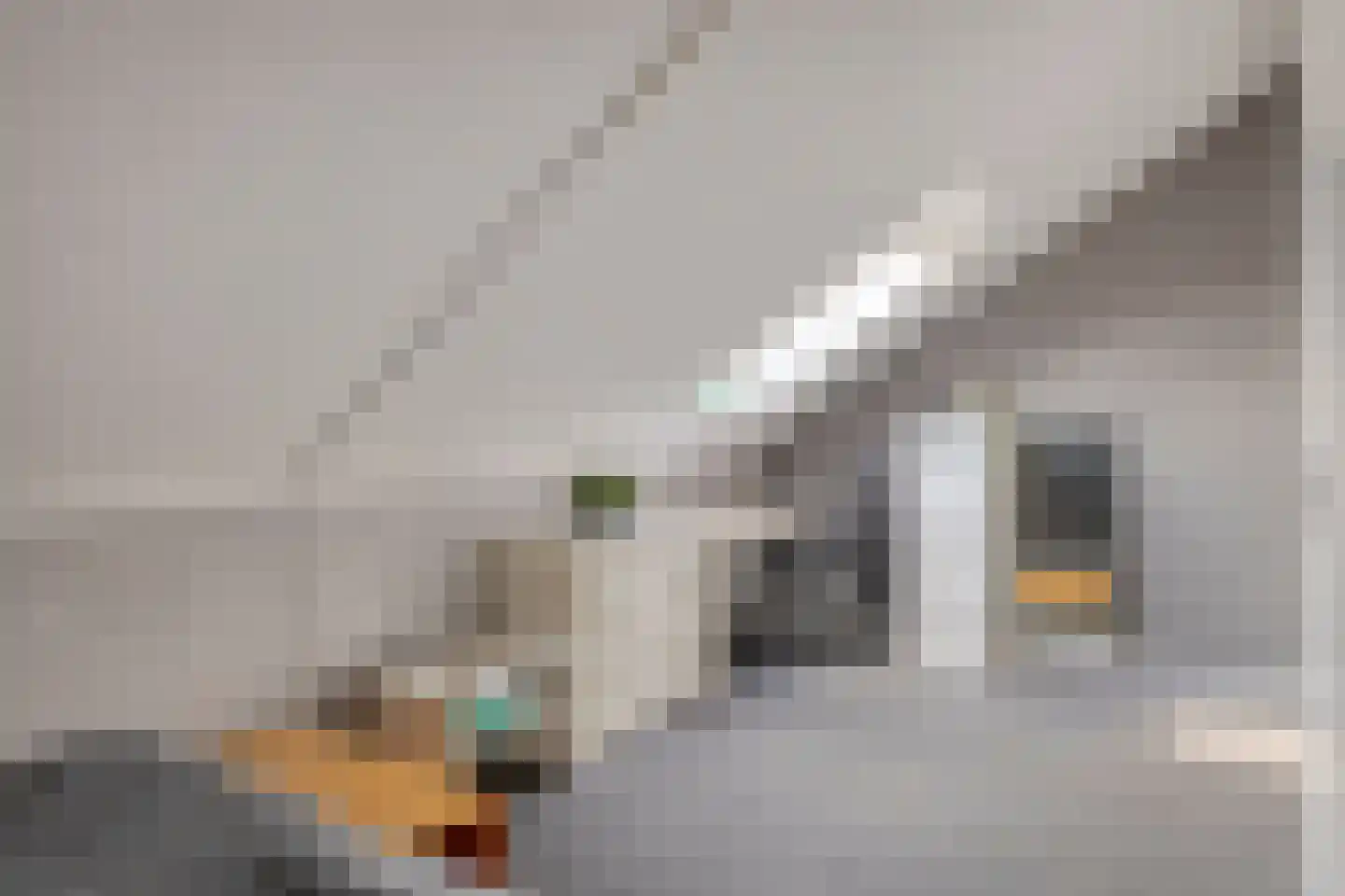 Begoniastraat 7 Hengelo thumbnail 39