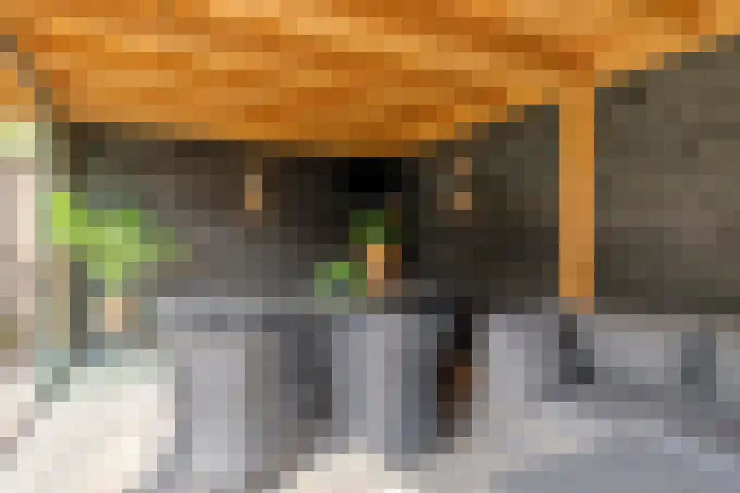 Begoniastraat 7 Hengelo thumbnail 47