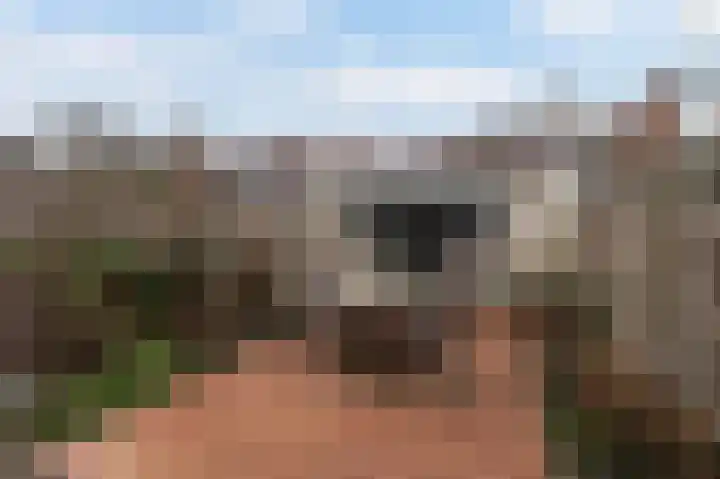 Begoniastraat 7 Hilversum thumbnail 12