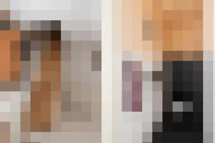 Begoniastraat 7 Hilversum thumbnail 14
