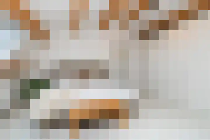 Begoniastraat 7 Hilversum thumbnail 22