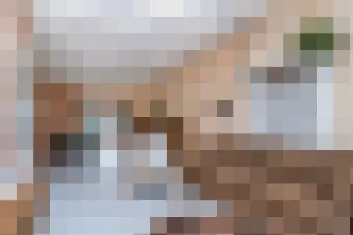 Begoniastraat 7 Hilversum thumbnail 4