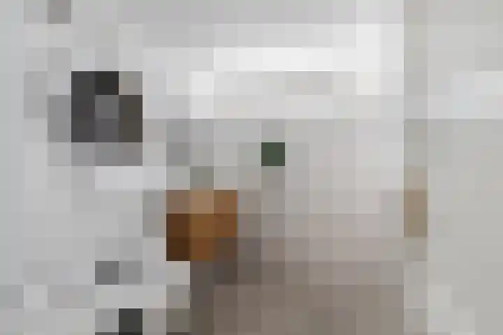 Begoniastraat 72 Barneveld thumbnail 28