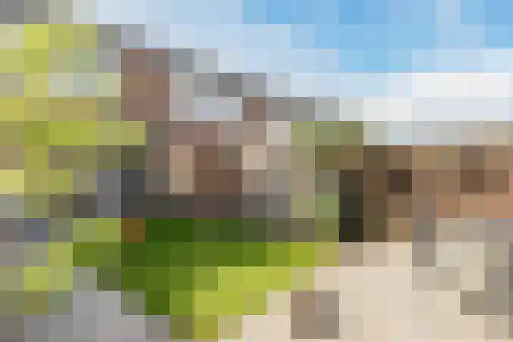 Begoniastraat 72 Barneveld thumbnail 31