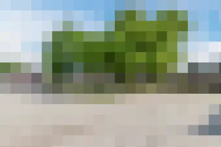 Begoniastraat 72 Barneveld thumbnail 36