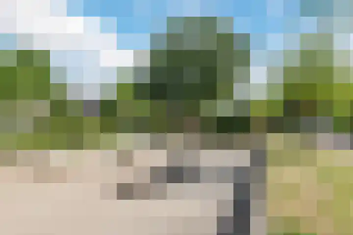 Begoniastraat 72 Barneveld thumbnail 38