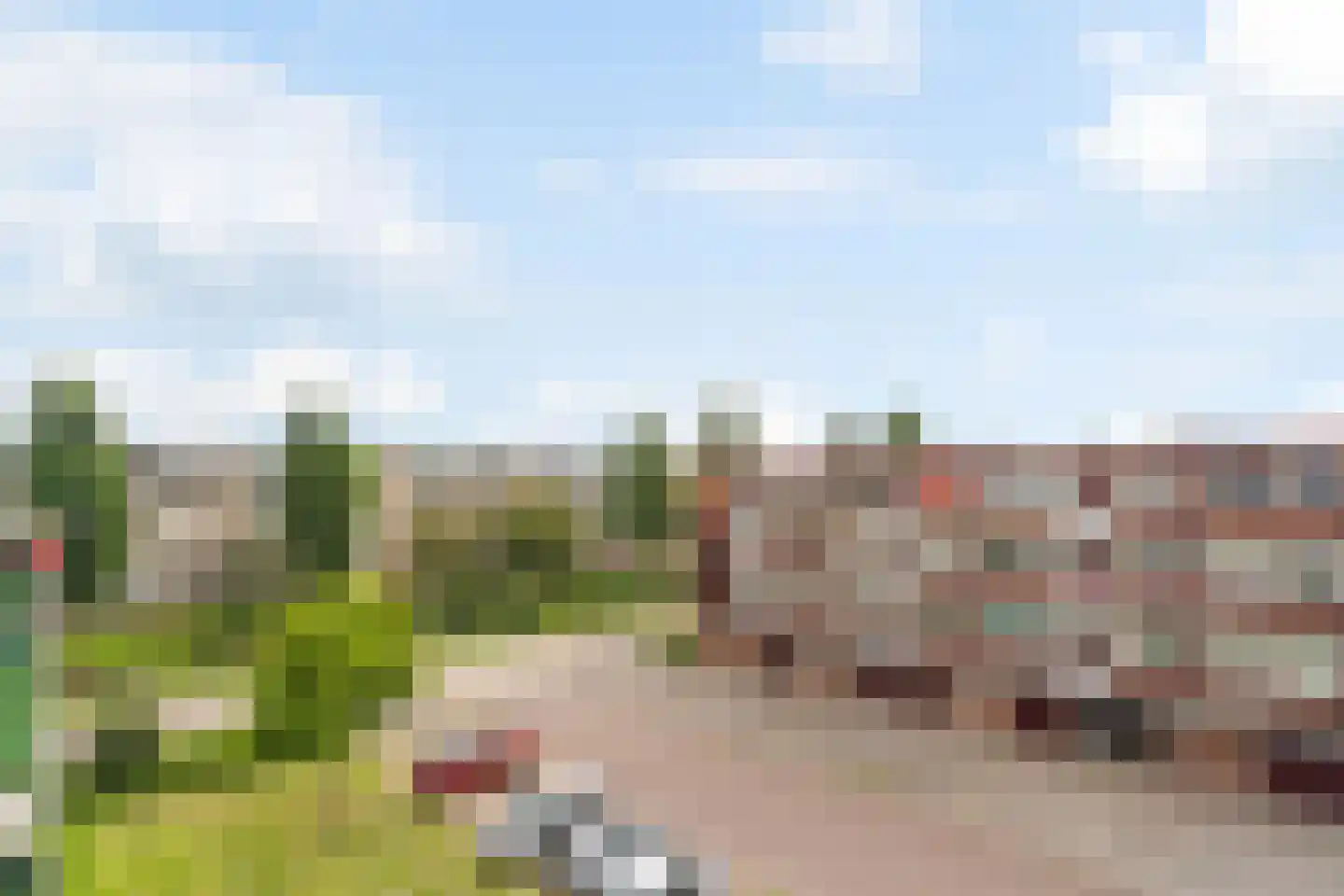 Begoniastraat 78 Zwijndrecht thumbnail 22