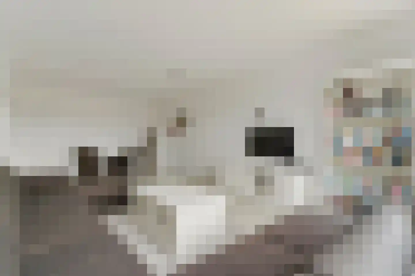 Begoniastraat 78 Zwijndrecht thumbnail 8