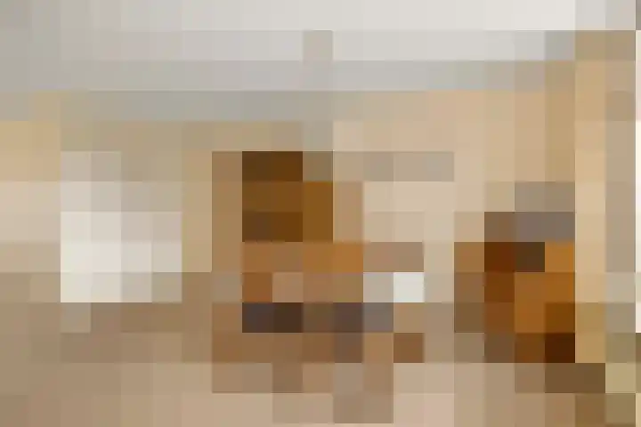 Begoniastraat 8 Olst thumbnail 10