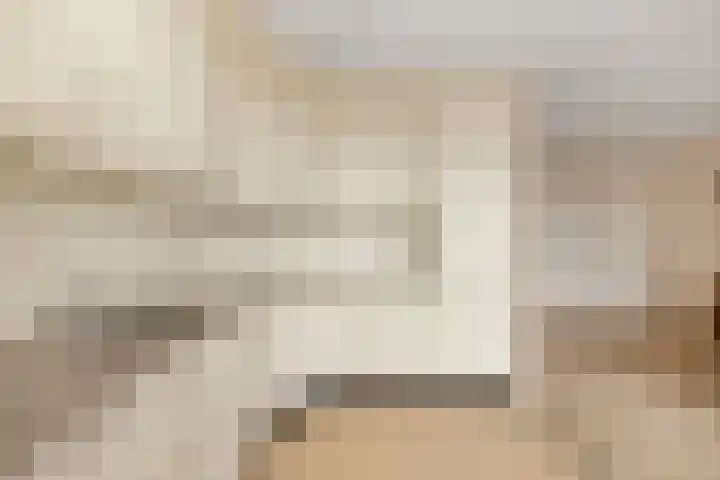 Begoniastraat 8 Olst thumbnail 11
