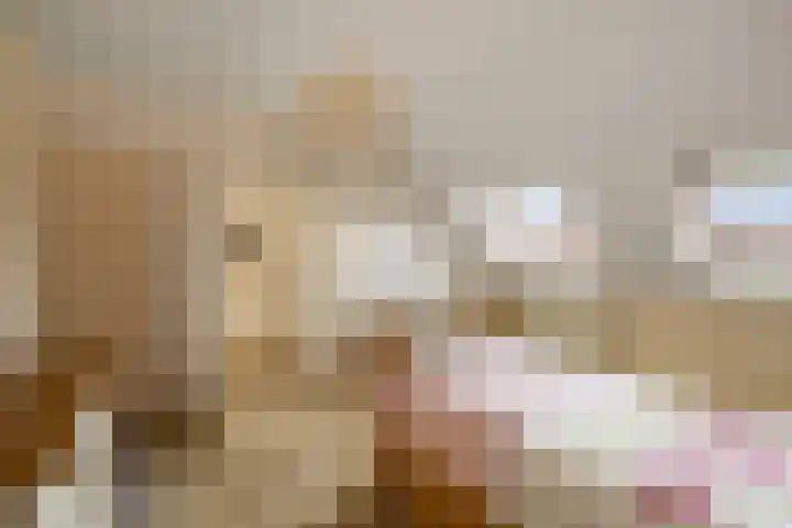 Begoniastraat 8 Olst thumbnail 16