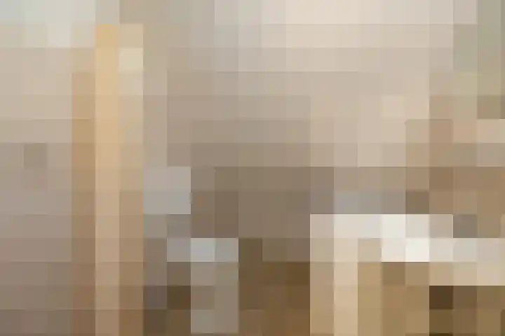 Begoniastraat 8 Olst thumbnail 19